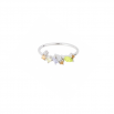 ANILLO GINEBRA