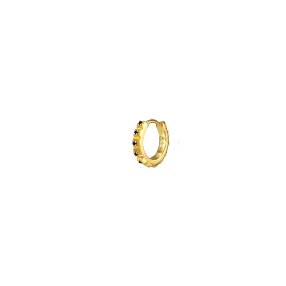 AROS BLACK POINTS